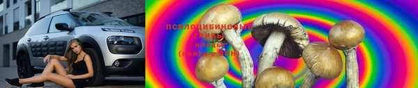ГАЛЛЮЦИНОГЕННЫЕ ГРИБЫ Алексин