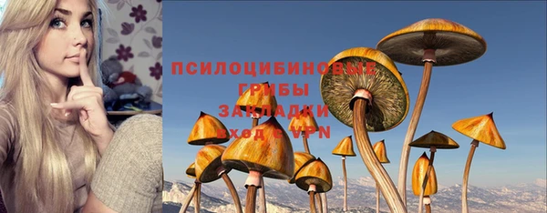 бутират Алзамай
