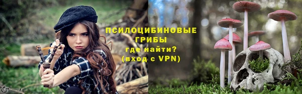 ГАЛЛЮЦИНОГЕННЫЕ ГРИБЫ Алексин