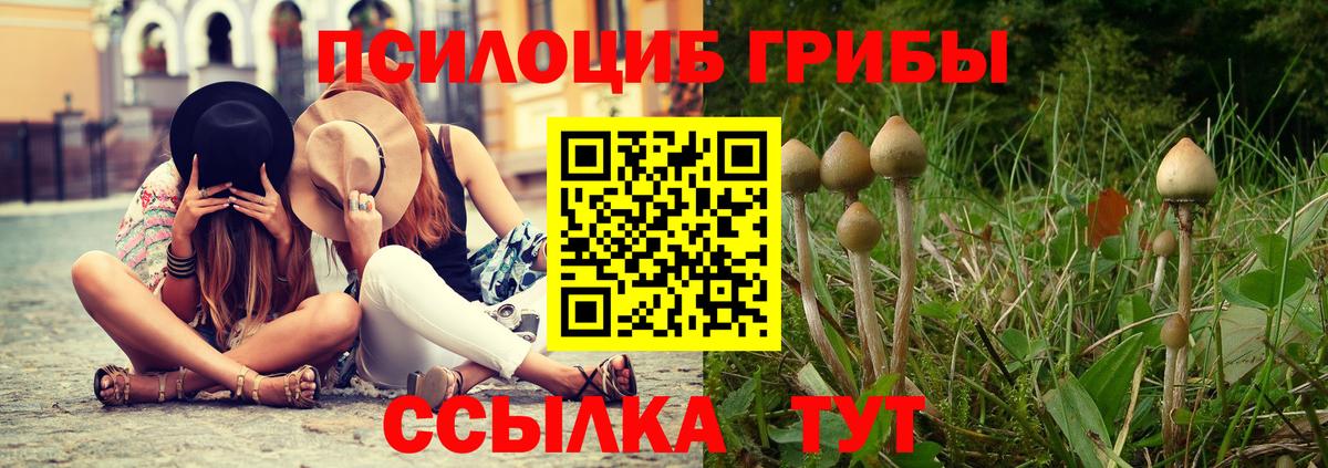 Галлюциногенные грибы мухоморы Иркутск