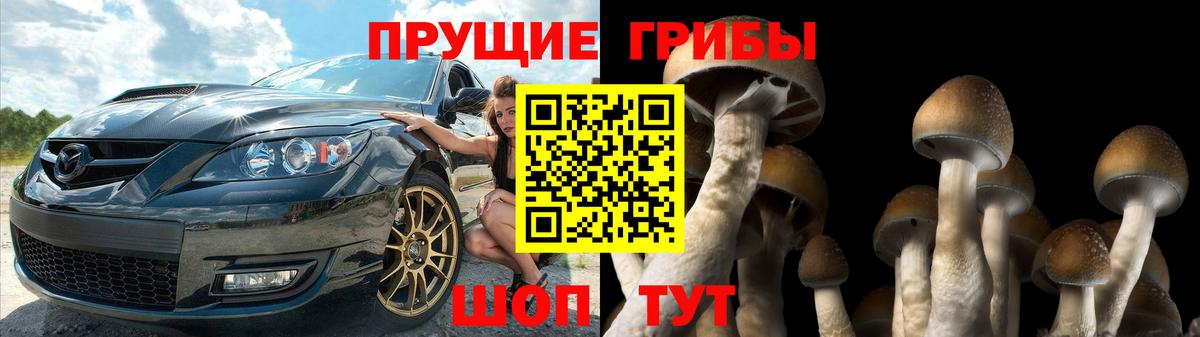 Галлюциногенные грибы ЛСД  Вход с VPN  даркнет сайт  Иркутск 
